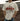 Person wearing a t-shirt with a rodeo graphic and text in an outdoor setting