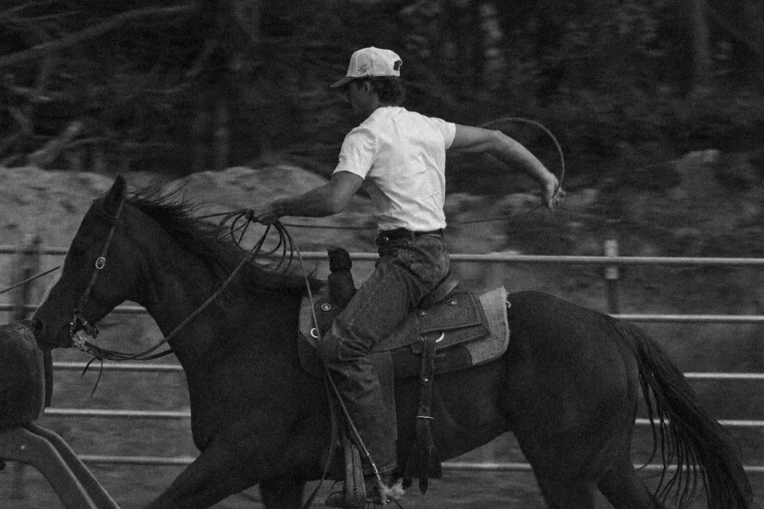 Western roper at the rodeo